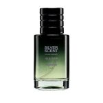 ادوپرفیوم مینیاتوری مردانه پورا مدل Silver Scent حجم 35 میل - تصویر 2